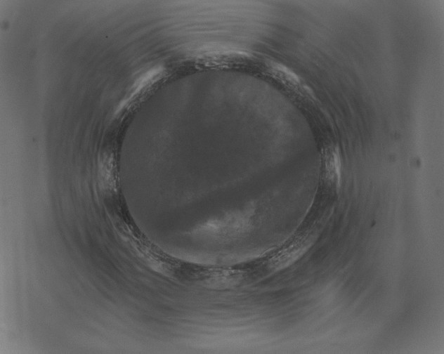 X0000073501060200608211709