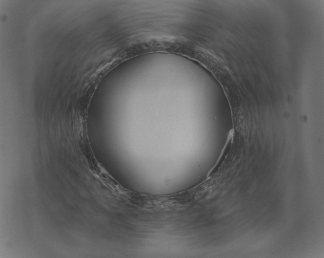 X0000073501061200608211709