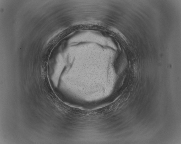 X0000073501064200608211709