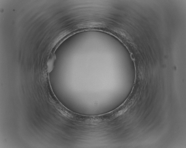X0000073501073200608211709