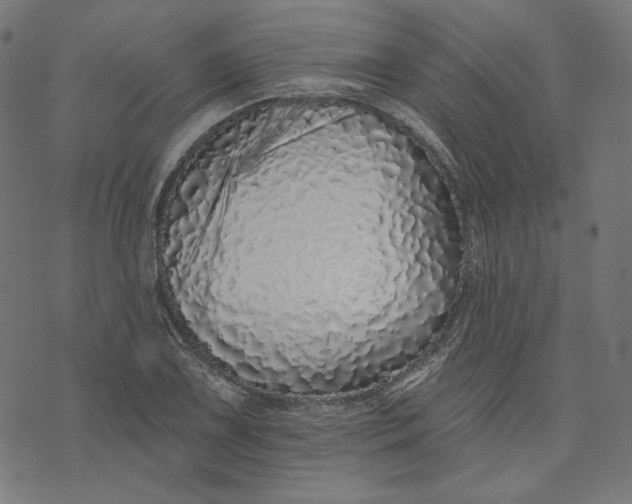 X0000073501075200608211709