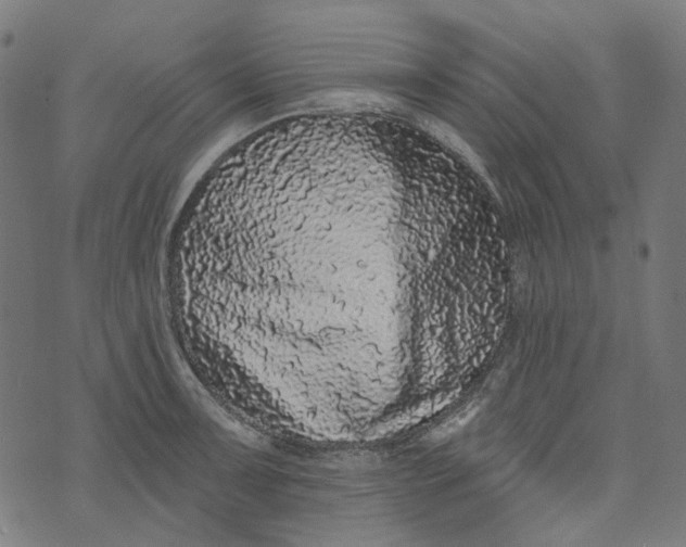X0000073501091200608211709