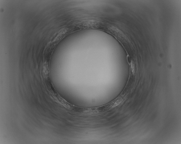 X0000073501107200608211708