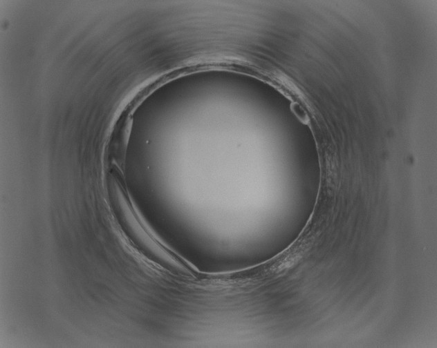 X0000073501124200608211708