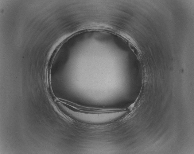 X0000073501128200608211708