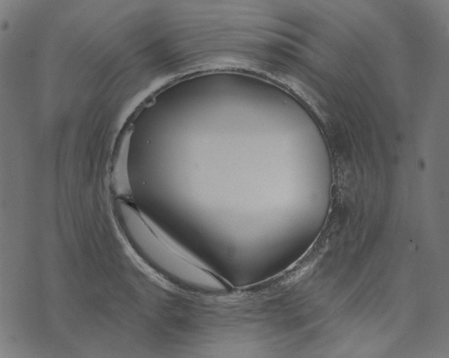X0000073501134200608211708
