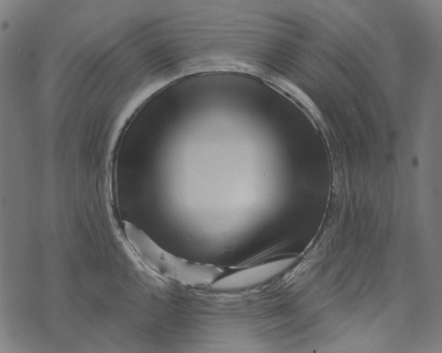 X0000073501144200608211708