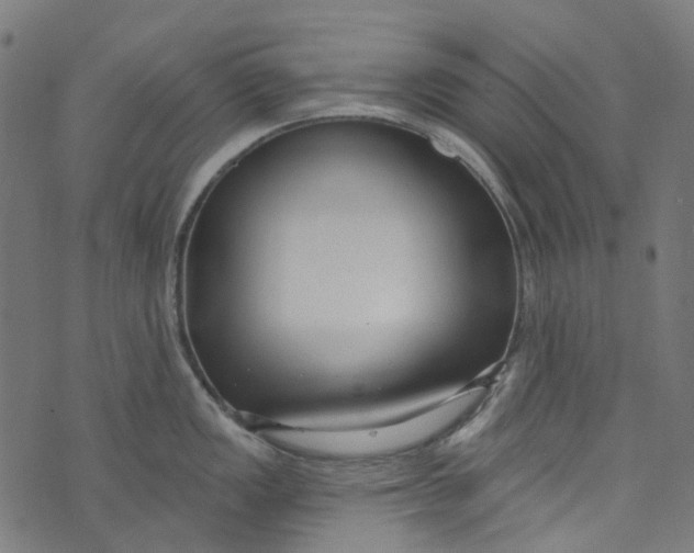 X0000073501149200608211708
