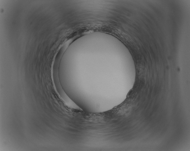 X0000073501153200608211708