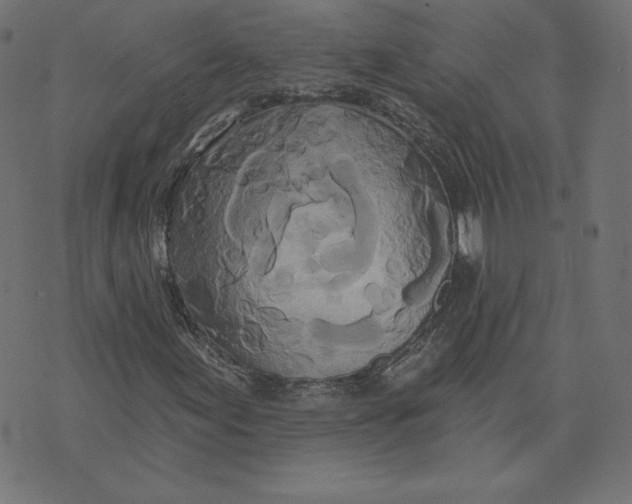 X0000073501155200608211708