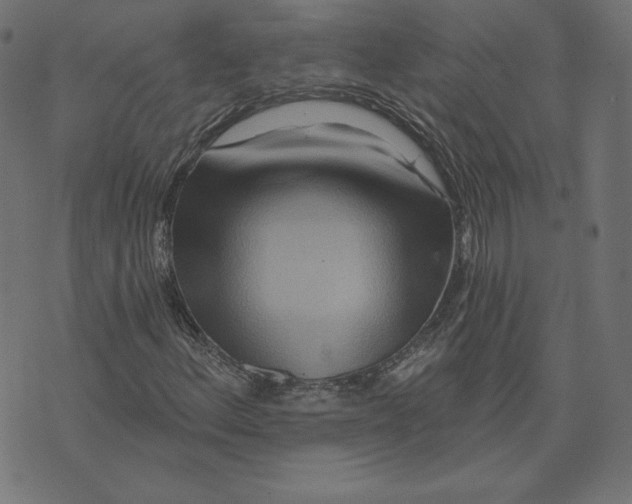 X0000073501156200608211707