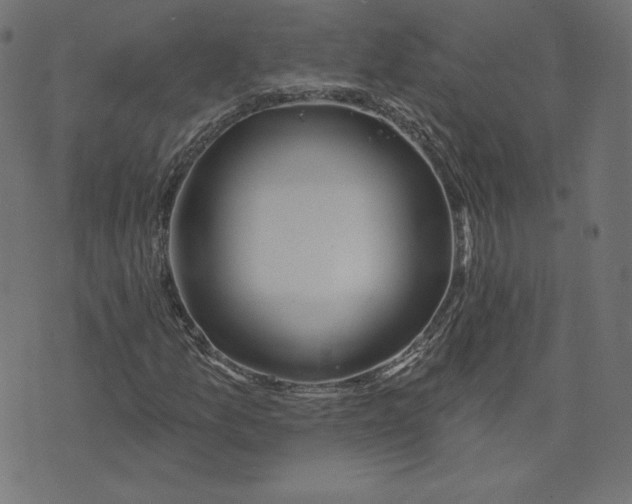X0000073501157200608211707
