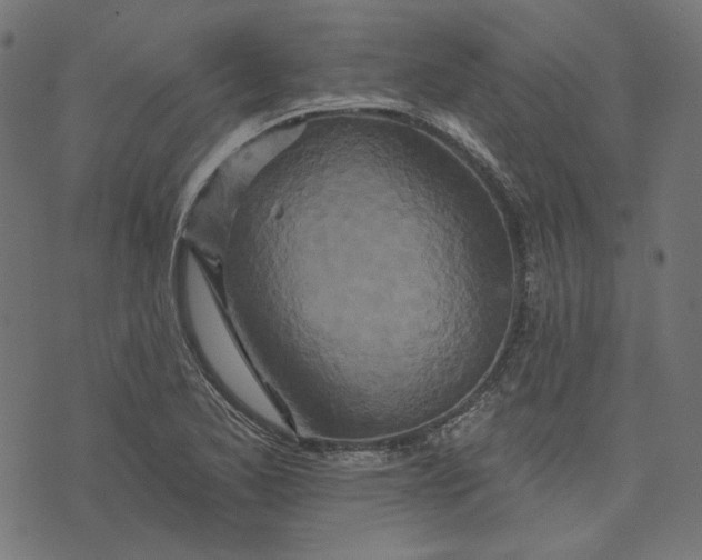 X0000073501173200608211707