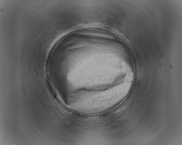 X0000073501174200608211707