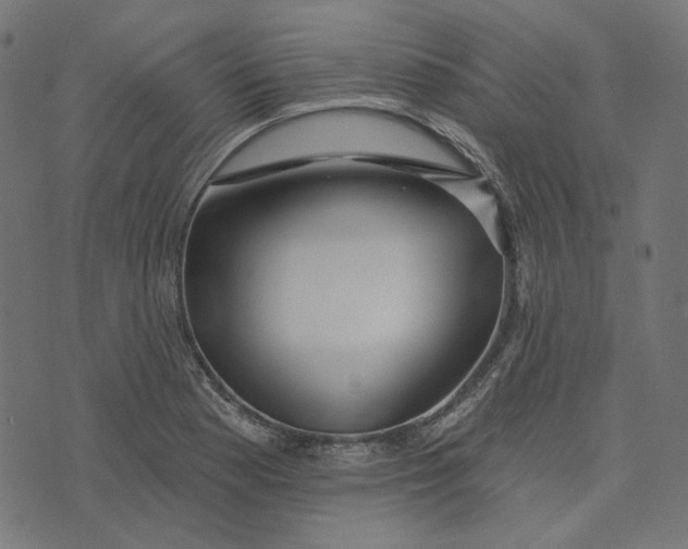 X0000073501177200608211707