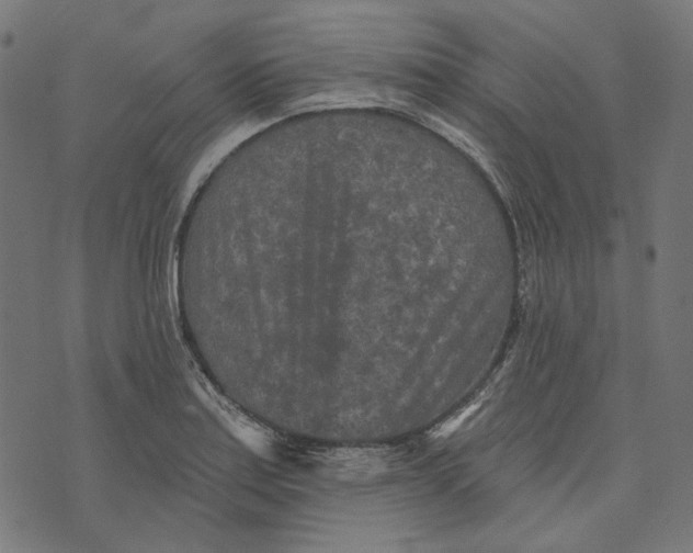 X0000073501179200608211707