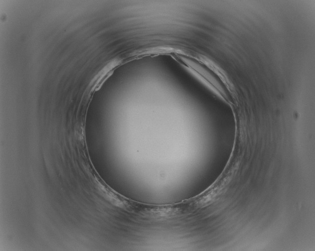 X0000073501193200608211707