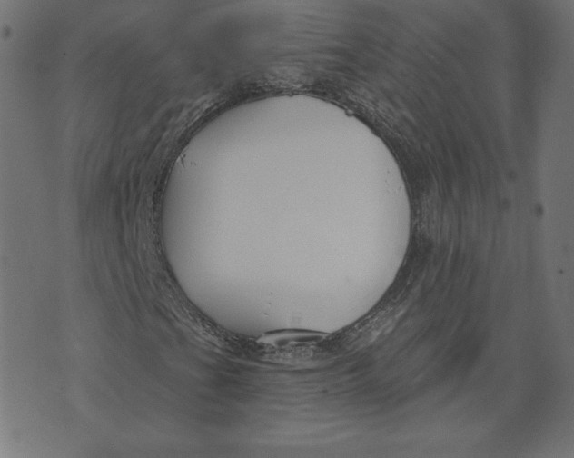 X0000073501201200608211706
