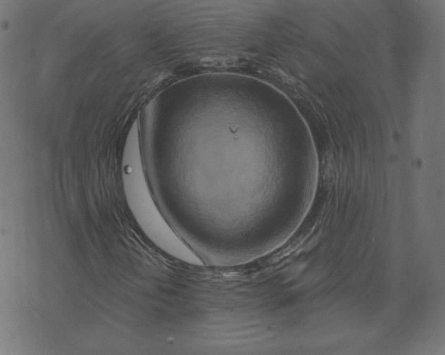 X0000073501202200608211706
