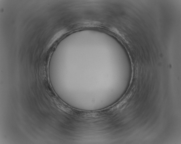 X0000073501211200608211706