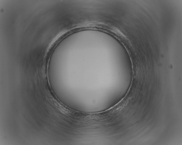 X0000073501216200608211706