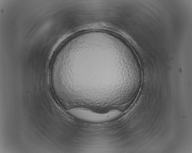 X0000073501224200608211706