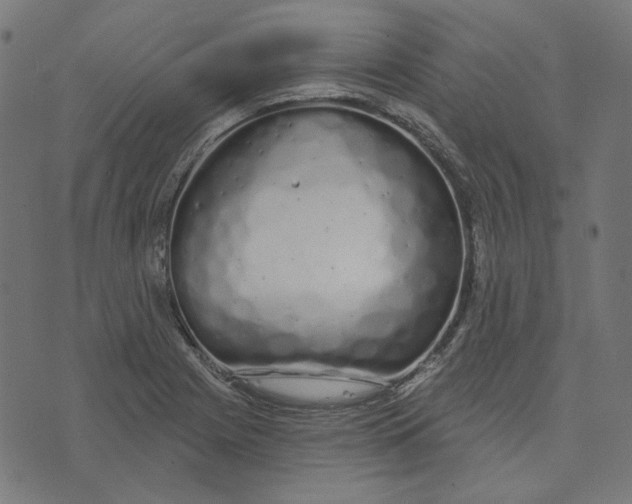 X0000073501225200608211706