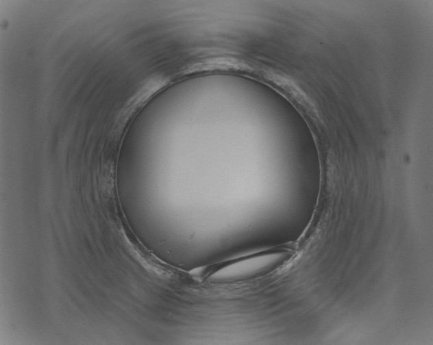 X0000073501233200608211707