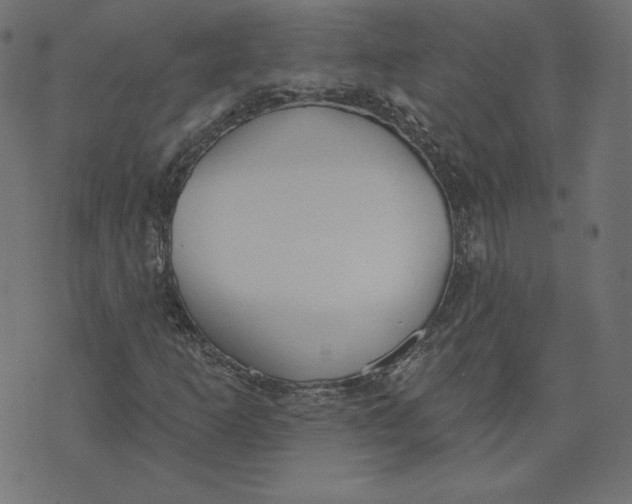 X0000073501253200608211706