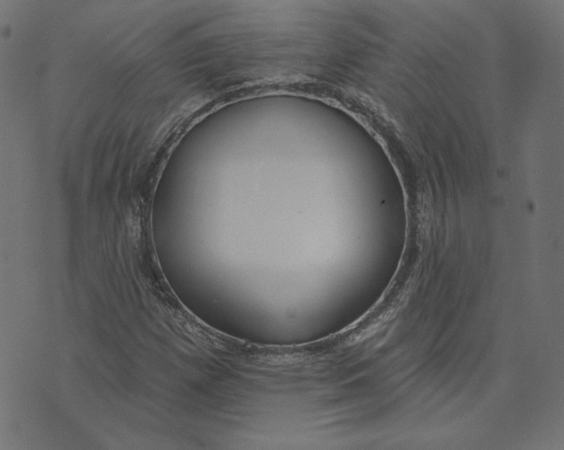 X0000073501257200608211706