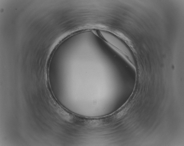 X0000073501280200608211705