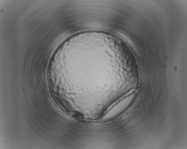 X0000073501283200608211705