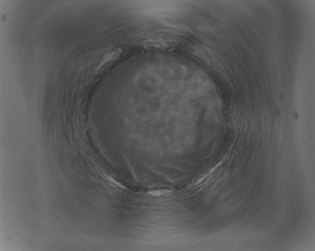 X0000073501297200608211704
