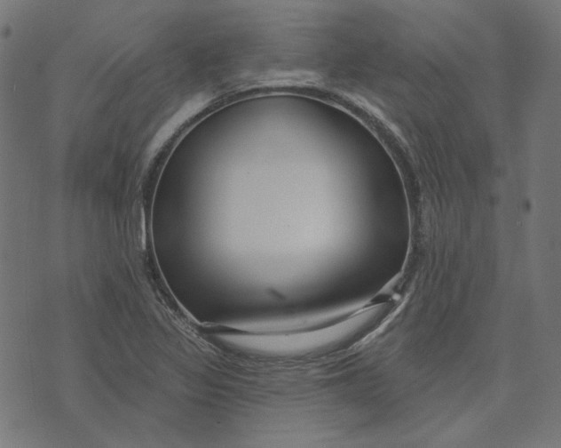 X0000073501317200608211705