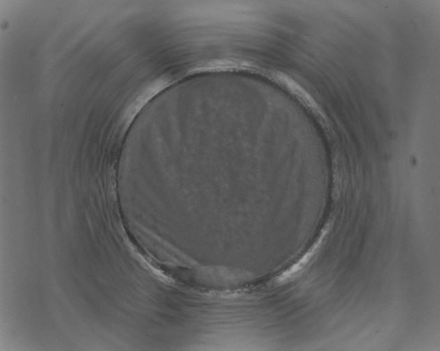 X0000073501329200608211705