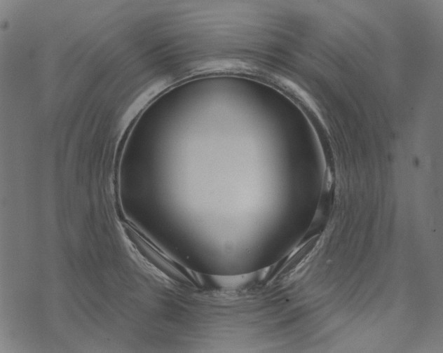 X0000073501330200608211705