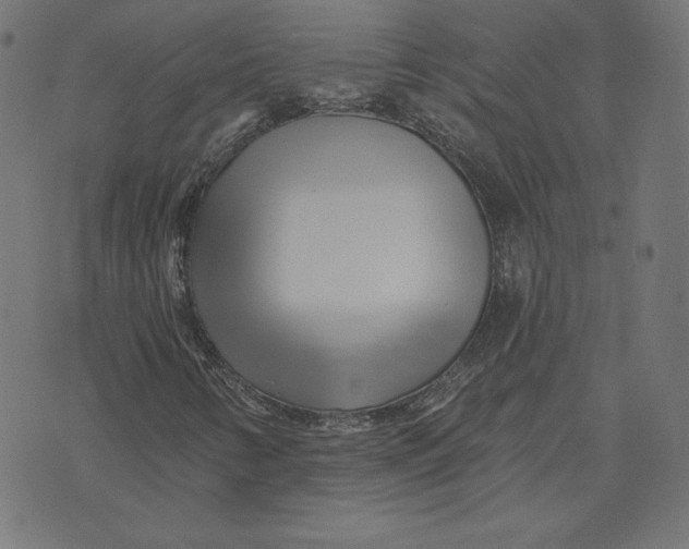 X0000073501346200608211704