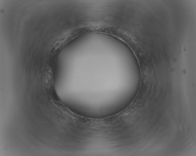 X0000073501349200608211704