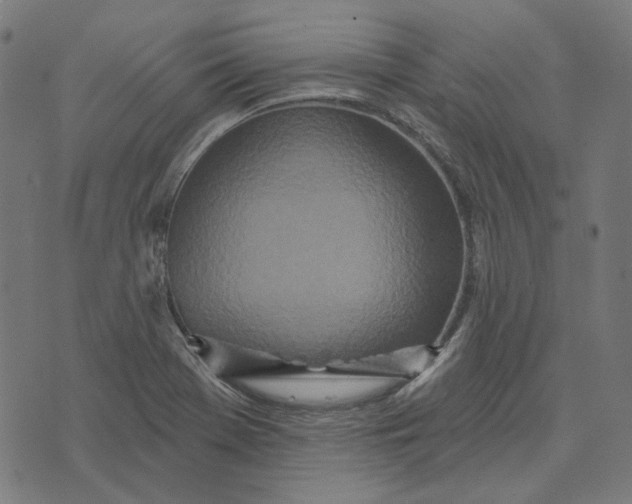 X0000073501369200608211704
