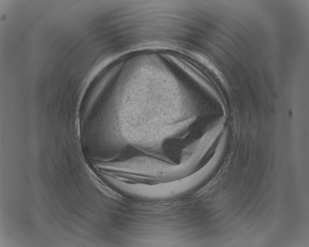 X0000073501372200608211704