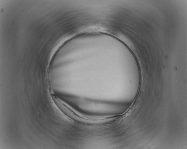 X0000073501392200608211704