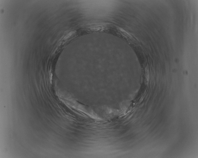 X0000073501394200608211703