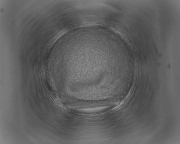 X0000073501401200608211703