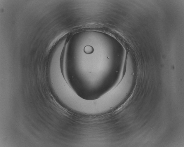 X0000073501402200608211703