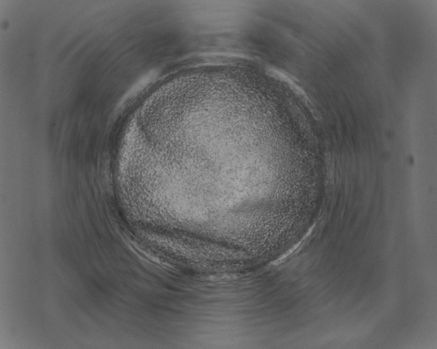 X0000073501403200608211703