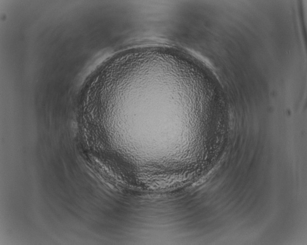 X0000073501407200608211703