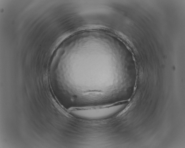 X0000073501417200608211703