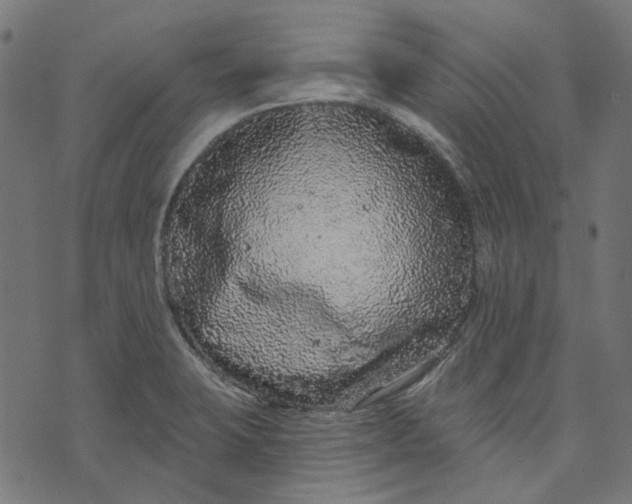 X0000073501423200608211703