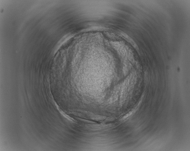 X0000073501425200608211703
