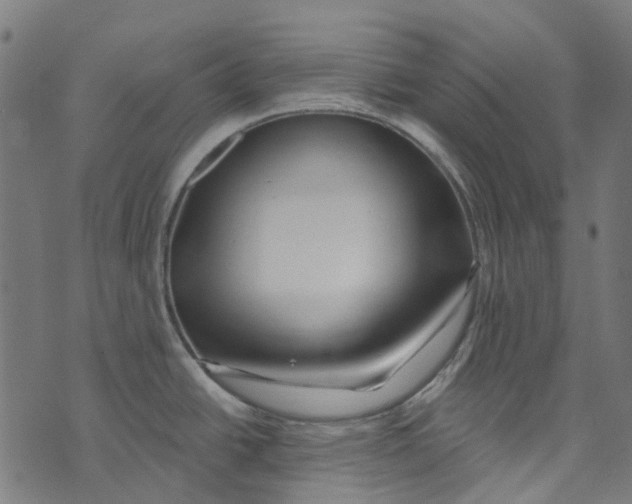 X0000073501438200608211704